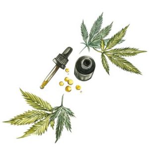 CBD pour sportif