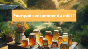 Miel pour les sportifs