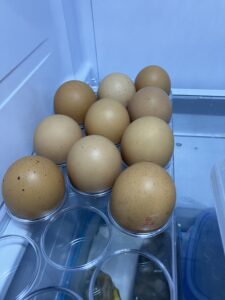 Oeufs pour sportifs