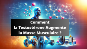 Comment la Testostérone Augmente la Masse Musculaire