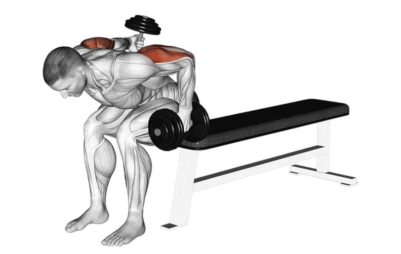 Exercice triceps sur le muscle triceps brachial avec un bon équipement de musculation 