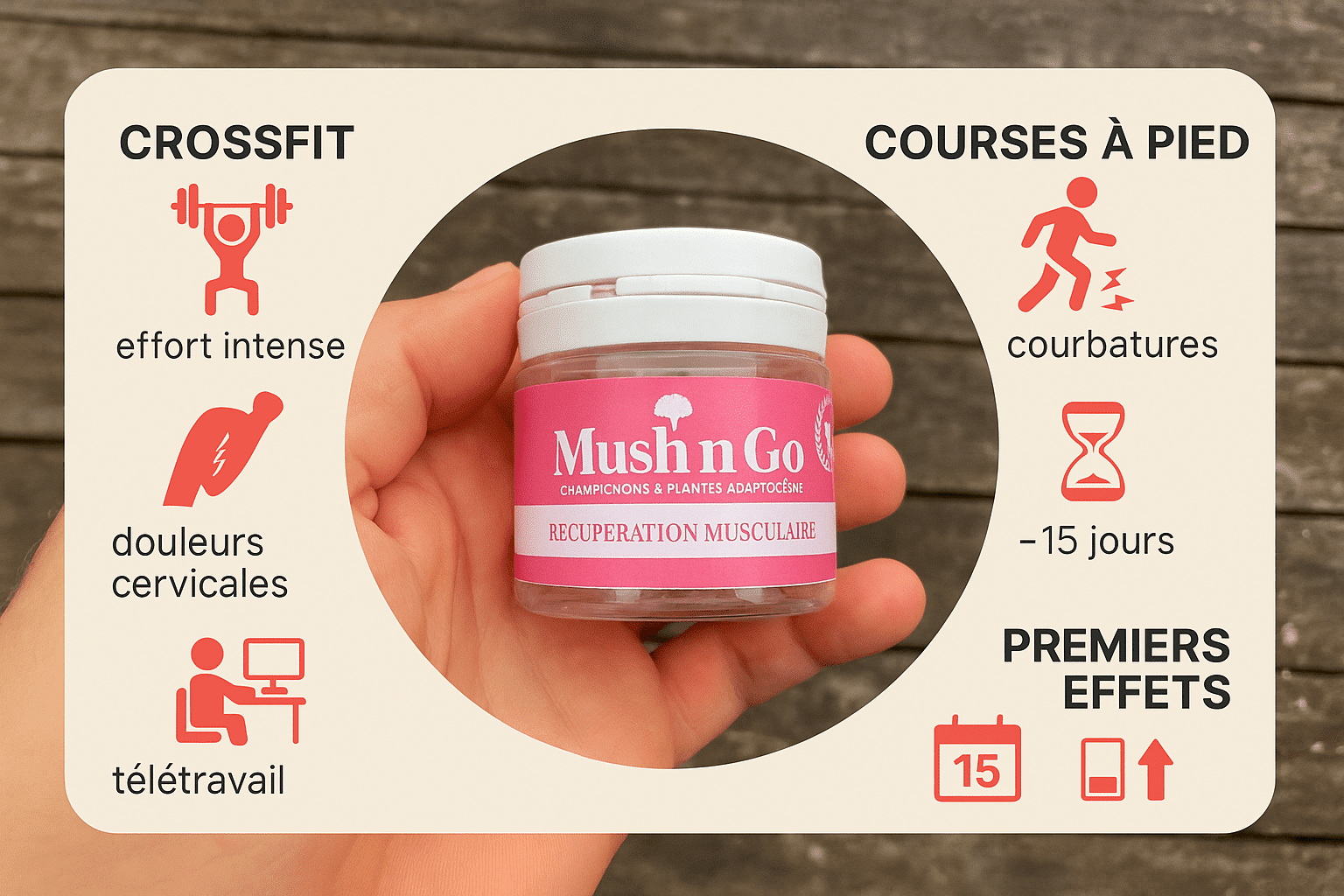 Avis sur Mushngo Récupération