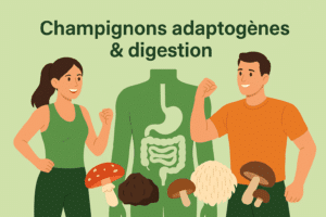 Champignons adaptogènes digestion pour les sportifs