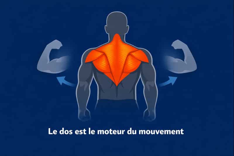 Pourquoi faire du tirage vertical à la poulie