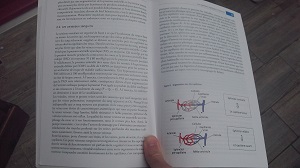 Voilà l'intérieur de ce livre dédié à l'entrainement running en montagne. © Testeurs Outdoor